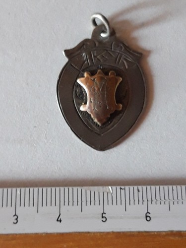 Medaglia cameo 1935 tap d - 1935,