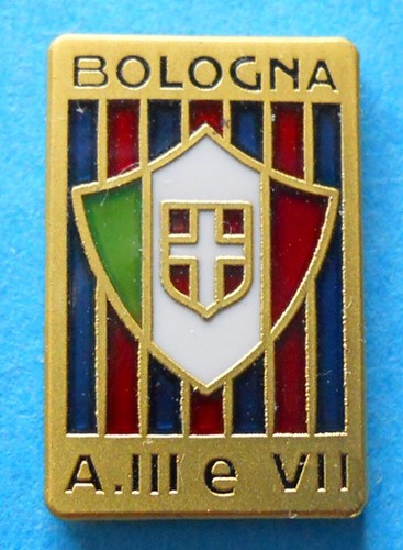 Distintivo spilla pin badge - spilla,