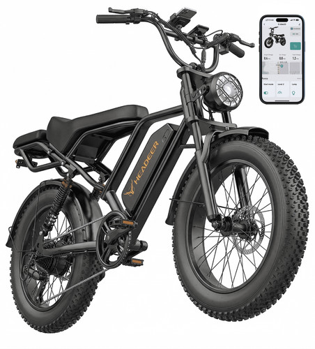 Bike fatbike pedelec - e-bike,