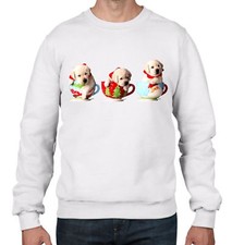 Natale Labrador Cuccioli IN T