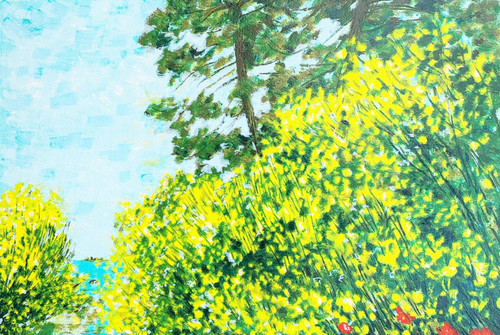Michele cascella senza - cascella,