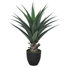 Pianta di yucca artificiale in