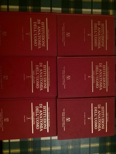 Collezione istituzioni - istituzioni, di