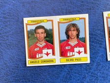 PANINI CALCIATORI 1990/91