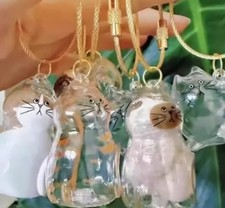 Capsula ricordo peli di