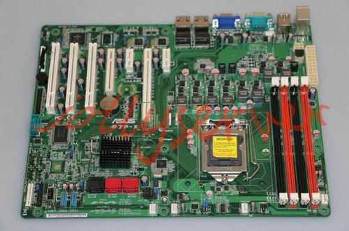Scheda madre server - , asus