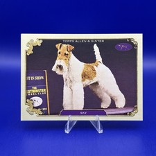 2024 Topps Allen & Ginter Sky