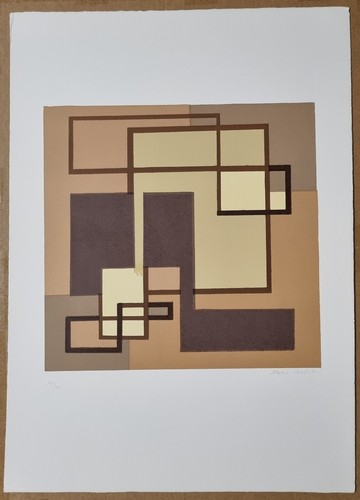 Mario radice litografia - mario,
