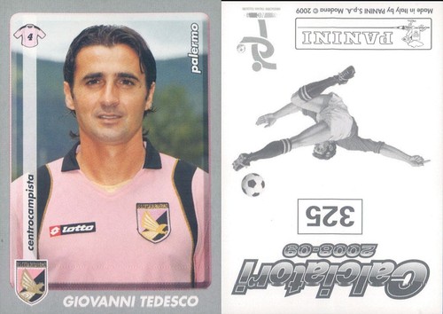 Calciatori panini 2008 - panini, 2008-09