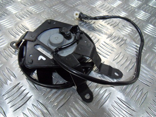 Gruppo ventola radiatore