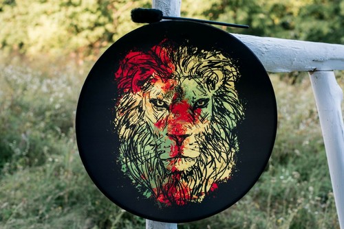 Vegan shaman rasta lion drum - shaman, drum"