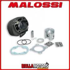 317002 GRUPPO TERMICO MALOSSI