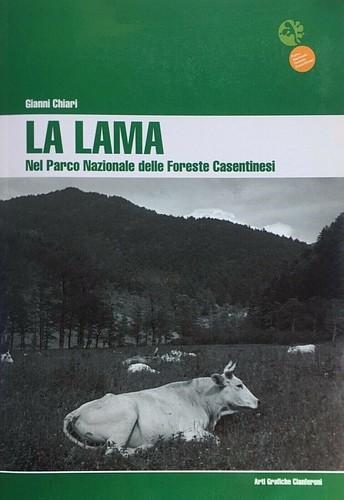 Gianni chiari lama nel - gianni,