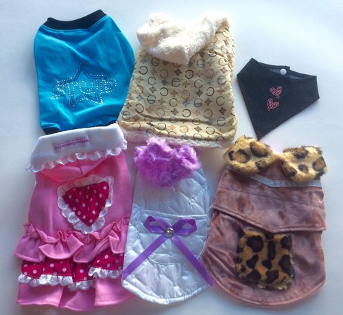 Lotto abbigliamento cani 6pz - abbigliamento,