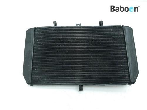 Radiator kawasaki 1000 r - radiator,