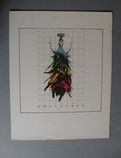 Fabrizio Plessi Riproduzione litografica certificata Bolaffi Arte Originale '70