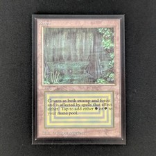 MTG \\>> Bayou (NM) <<//