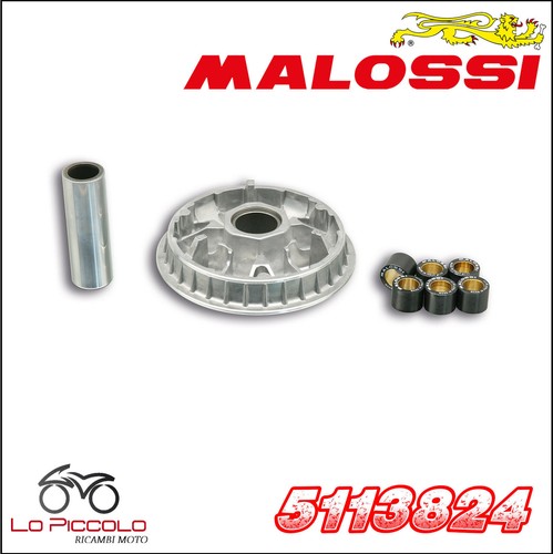 5113824 variator malossi - variator,