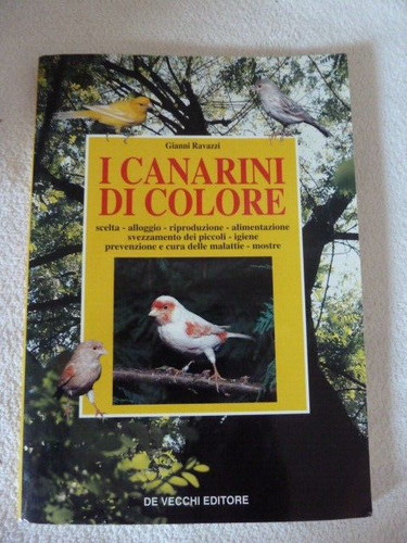 Gianni ravazzi canarini - gianni, di