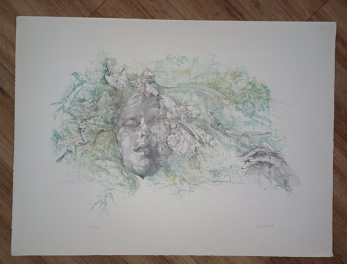 Renzo vespignani litografia - renzo,