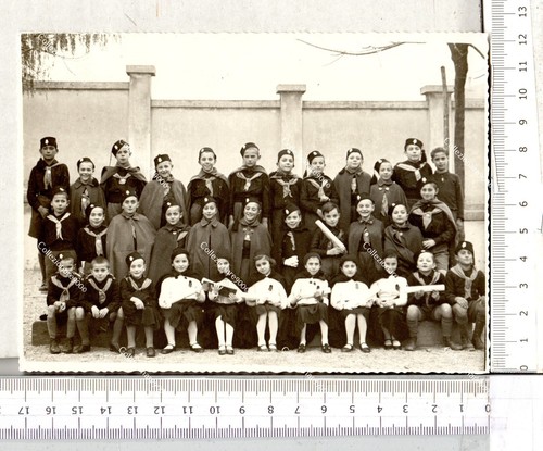 Cc312 figli della lupa - cc312),