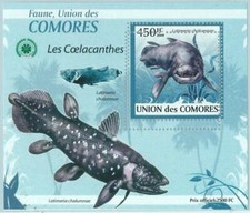 A0402 - COMORES, ERROR, MISPERF, Souvenir s: 2009 Pesce, Celacanti, Vita Marina
