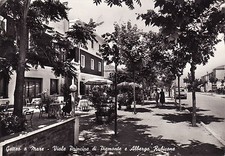 #GATTEO A MARE: VIALE PRINCIPE