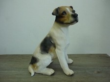 Sitting Jack Russell Terrier