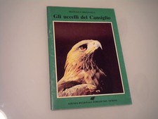 FRANCESCO MEZZAVILLA - GLI