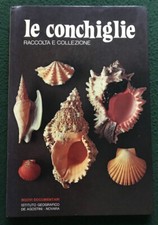 LE CONCHIGLIE Raccolta e