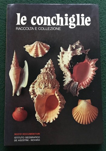 Conchiglie raccolta e - le,