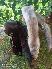 2 collo visone singolo  stola