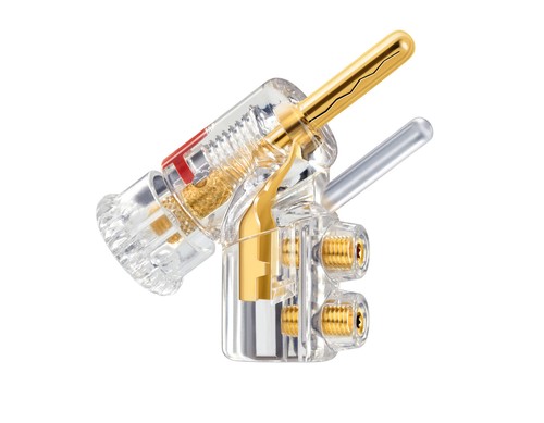 Wbt 0610 nextgen spina - x,