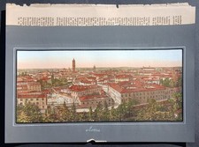 Stampa antica 1891 palmiro