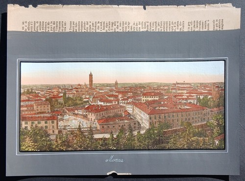 Stampa antica 1891 palmiro