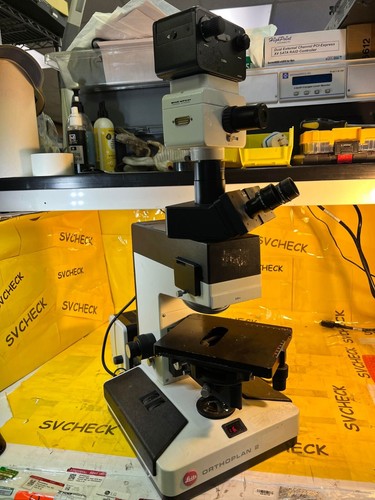 Microscopio trinoculare - , a