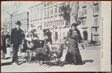 RARA CARTOLINA NAPOLI NAPLES VILLA COMUNALE CARROZZINA CON CAPRE NV