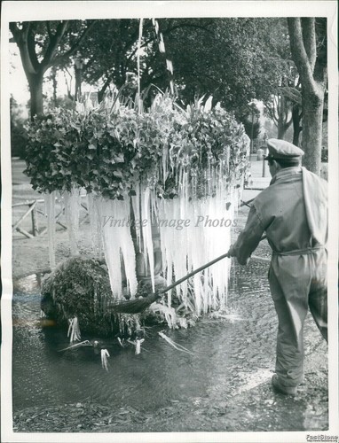 1956 gardner roma - 1956, a