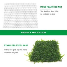 Acquario muschio di Giava muschio muschio acquario muschio pad gamberetti muschio