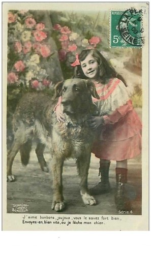 Cani 4432 cuccioli giovani - n°4432,
