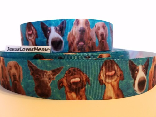 Nastro grosgrain divertente - grosgrain,