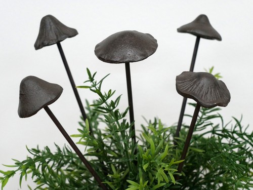 Set bastoncini di funghi - di,