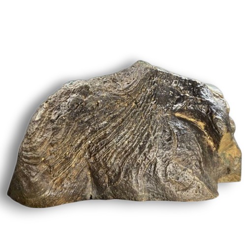 Pietra suiseki giapponese - pietra,