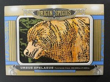 URSUS SPELAEUS 2016 GOODWIN
