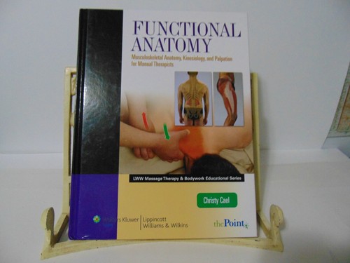 Functional anatomy - functional,