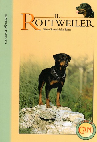Rottweiler animali cani - animali,