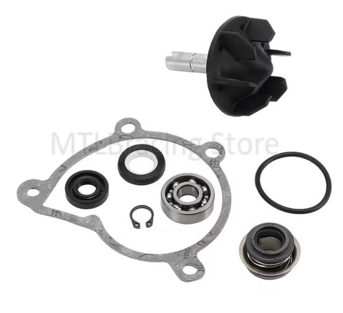 Kit revisione pompa acqua