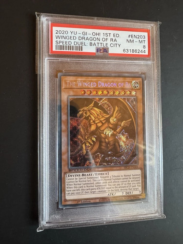 Psa drago alato 1 - 8,