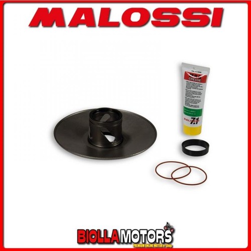 6111656 pair corrector - pair, malossi