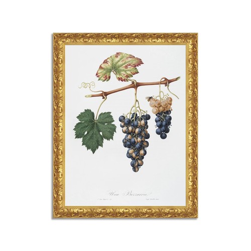 Quadro stampa tela - su,